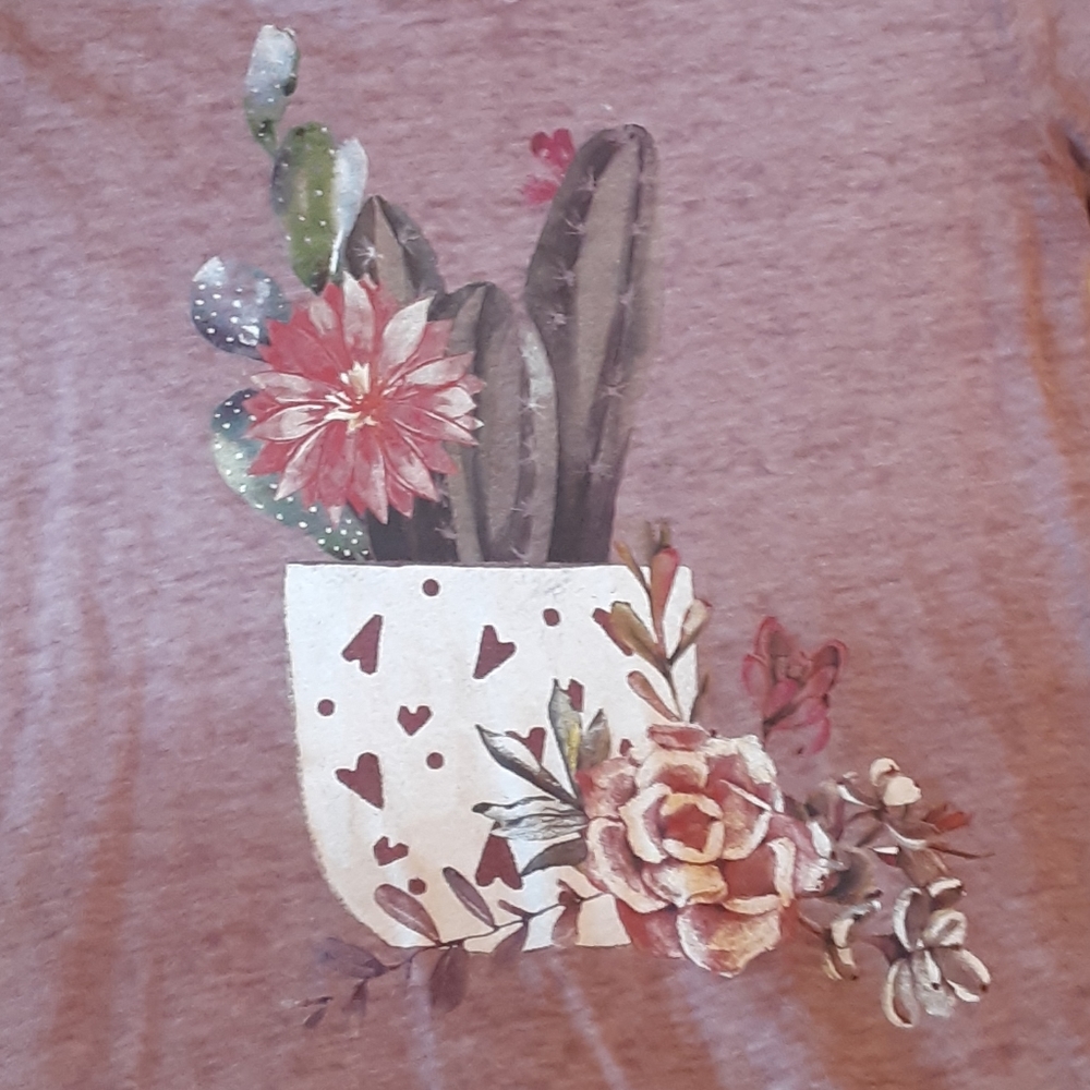 Maurices Cactus and Succulent Tshirt - Picture 2 of 3
